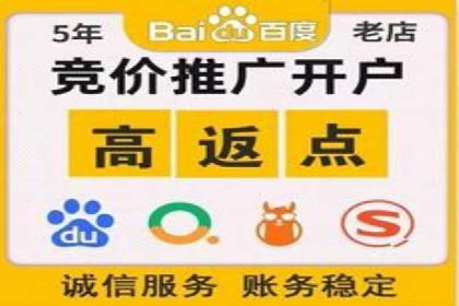 百度推广代理商成功案例：某行业巨头背后的推手