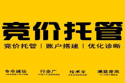 精选案例分享：SEM代运营公司效果展示